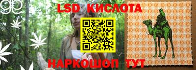 ПСИЛОЦИБИНОВЫЕ ГРИБЫ Конаково